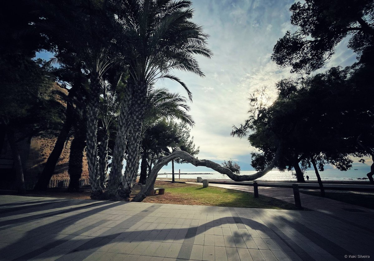 Benicàssim 8/12/23
