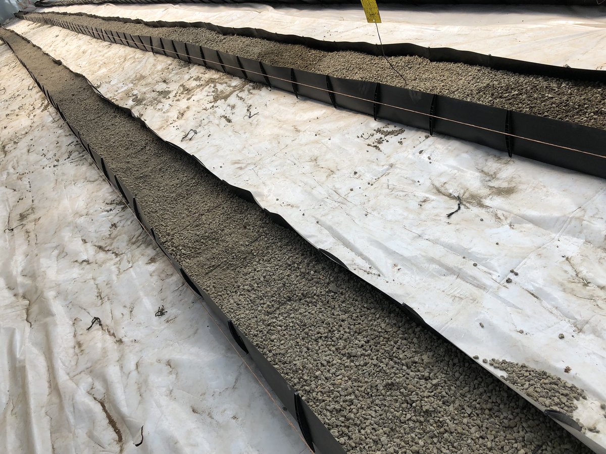 kalebndolo's tweet photo. Filling our Mapal trough with pumice.

Monday tunapanda #luciplus #cherry tomatoes 🍅 

#futurefarms https://t.co/pkvLdsvDuB