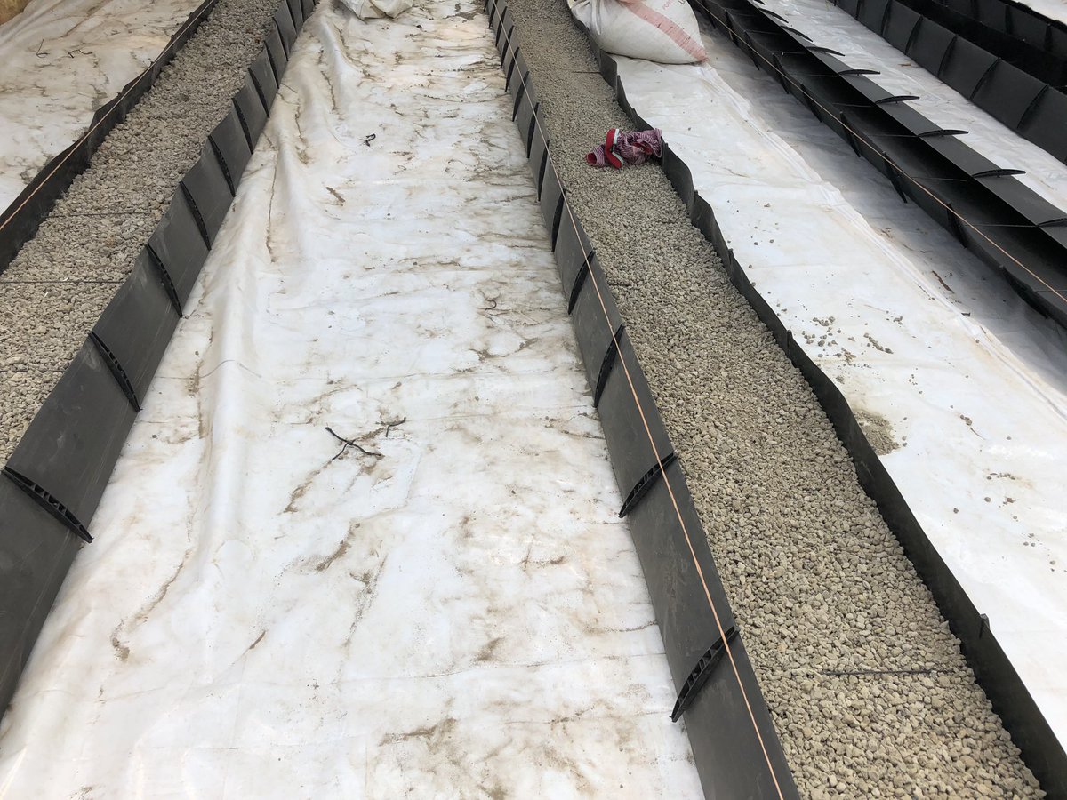 kalebndolo's tweet photo. Filling our Mapal trough with pumice.

Monday tunapanda #luciplus #cherry tomatoes 🍅 

#futurefarms https://t.co/pkvLdsvDuB