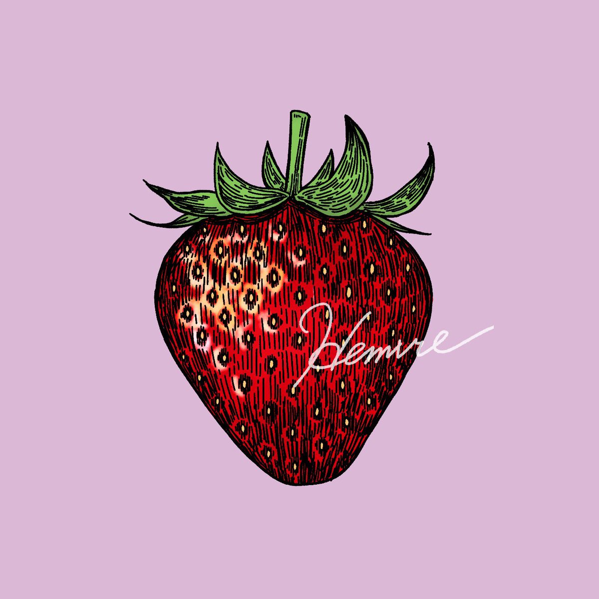 Hemure363's tweet photo. いちご🍓

#イラスト #ペン画風 https://t.co/BIxuletZST