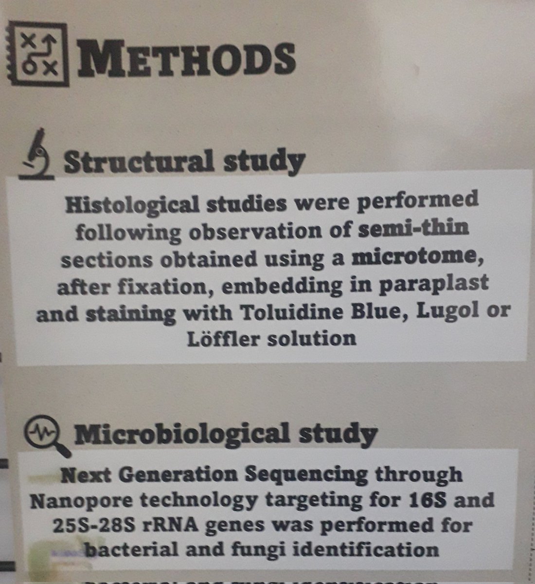 ESFE_cE3c's tweet photo. During these days, one of our PhD students is participanting in @Microbiotec23 with her work about the #microbiome of the #InvasiveAlienSpecies Acacia longifolia and its role on post-fire recovery. For the first time, she is describing a #mycobiome associated. @CE3CResearch https://t.co/Mu3lFgxBwx