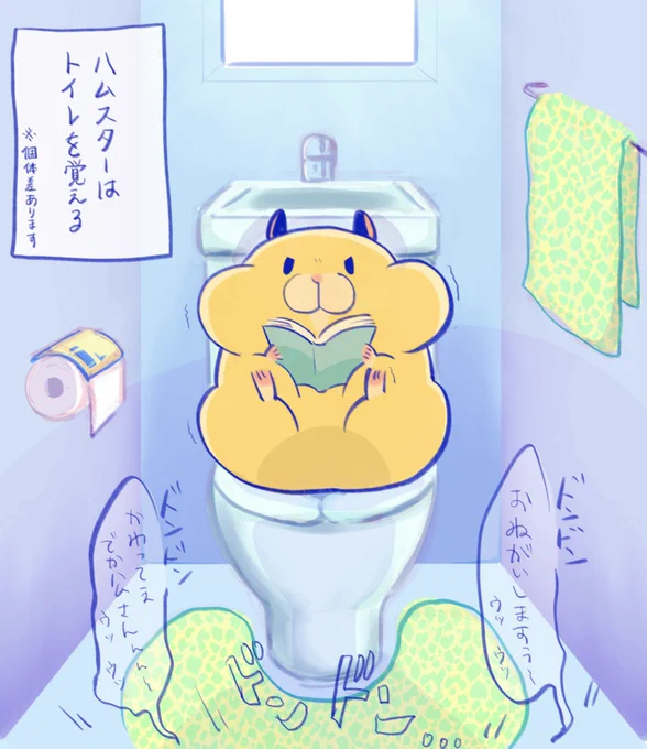 ハムスターはトイレを覚えます🐹🚽 