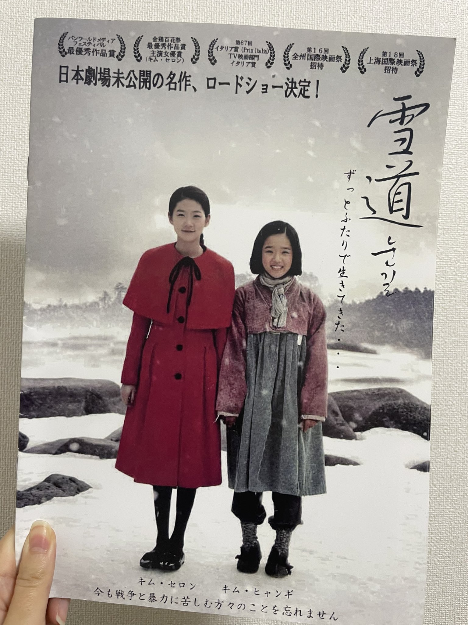 Amazon.com: ドキュメンタリー四月の雪 ペ・ヨンジュンに魅せ