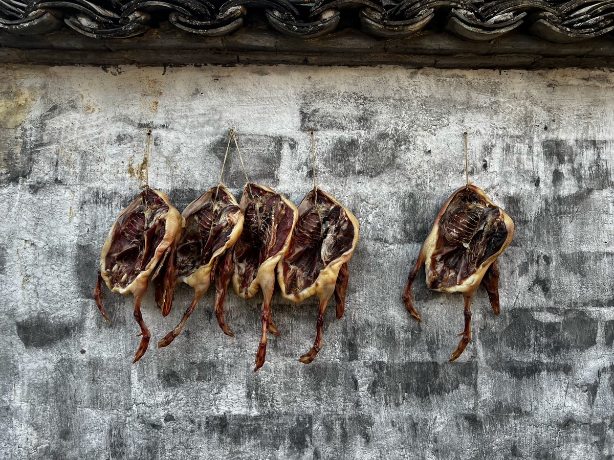 giammarcosicuro's tweet photo. 1/3 Visitare #xidi, nella provincia cinese dell’Anhui, è un’esperienza meravigliosa. Un antichissimo villaggio di case bianche e lanterne rosse, patrimonio UNESCO, e così autentico da sembrare una fiaba ambientata in qualche tempo antico della Cina rurale. https://t.co/H9HBPvua3x