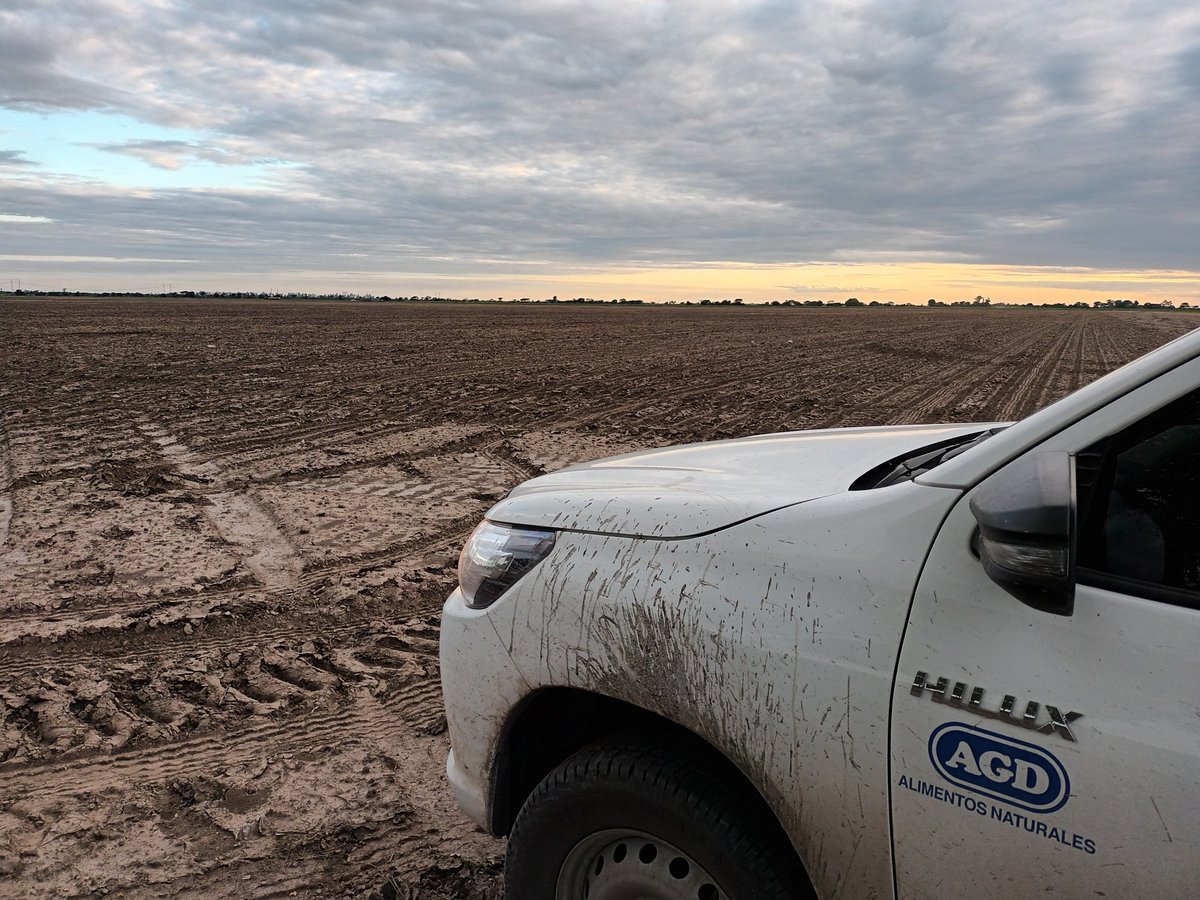 AgDtucuman's tweet photo. Estos ultimos dias.. Se largo la siembra de 🌱#soja en Tucuman y zona de influencia en distintos frentes
🚜 La Cocha
🚜 Las Cejas
🚜 Los Ralos.. 
Máquinas por muchos lugares comenzando la siembra 2324🌱
#siembra #soybeans https://t.co/4XO2nME3Ne