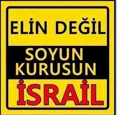 Mehmet Eren (@byeren46) on Twitter photo 