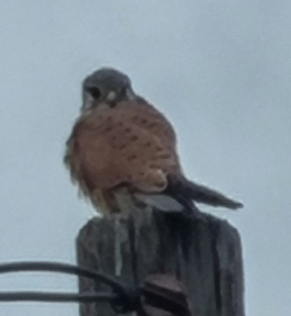 ΟS1NT from 🇨🇾 tweet media