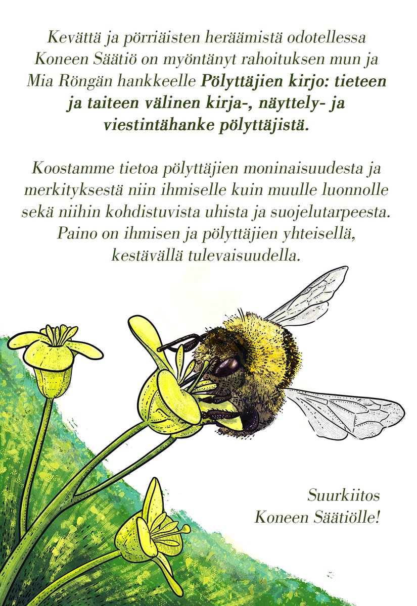 Suurkiitos tuestanne hankkeellemme ja pölyttäjille #KoneenSäätiö