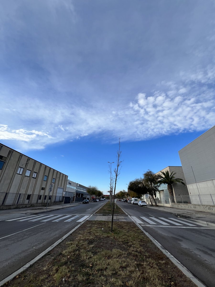 Juanma_ak's tweet image. Feliz aniversario de la Batalla de Empel:

«Los infantes españoles prefieren la muerte a la deshonra. Ya hablaremos de capitulación después de muertos». 

#elrincondelcorredorpopular #entrerunners #reto2023kms #yodoymispasos #comunidadrunator #corredor #run4fun