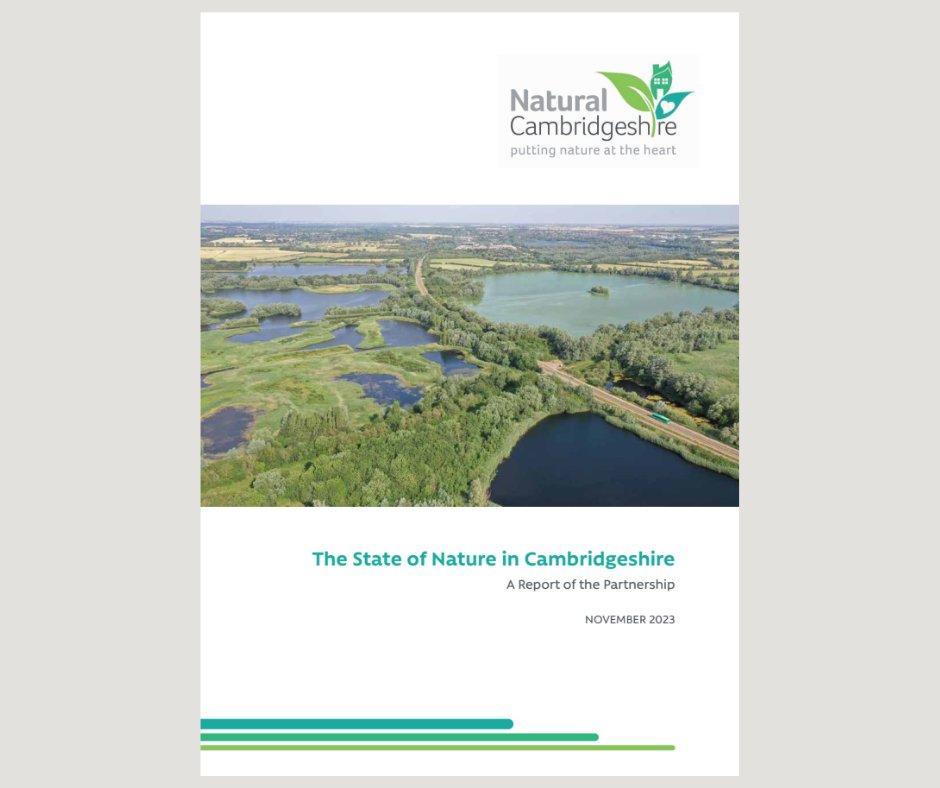 @NaturalCambs has published its annual report showcasing the work of its partners in their efforts to double nature in the county. Two of our fantastic environmental projects feature prominently. Download a copy of the report at: hubs.ly/Q02ct8cH0
