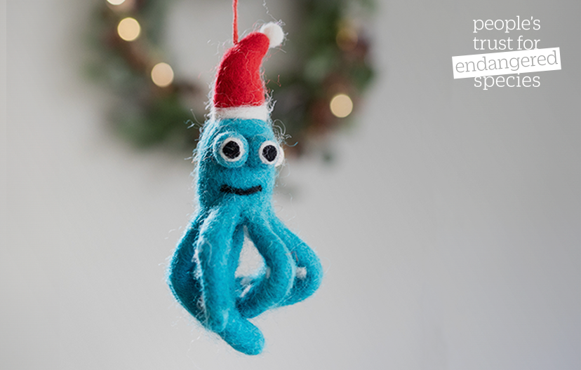 Fill their stocking with fun and unique presents! Find games that will keep them entertained throughout the day, quirky ornaments for hanging on the tree, and crafts to see them through 'til the new year! 🎄🎁 Shop now 👉 shop.ptes.org/product-tag/st…