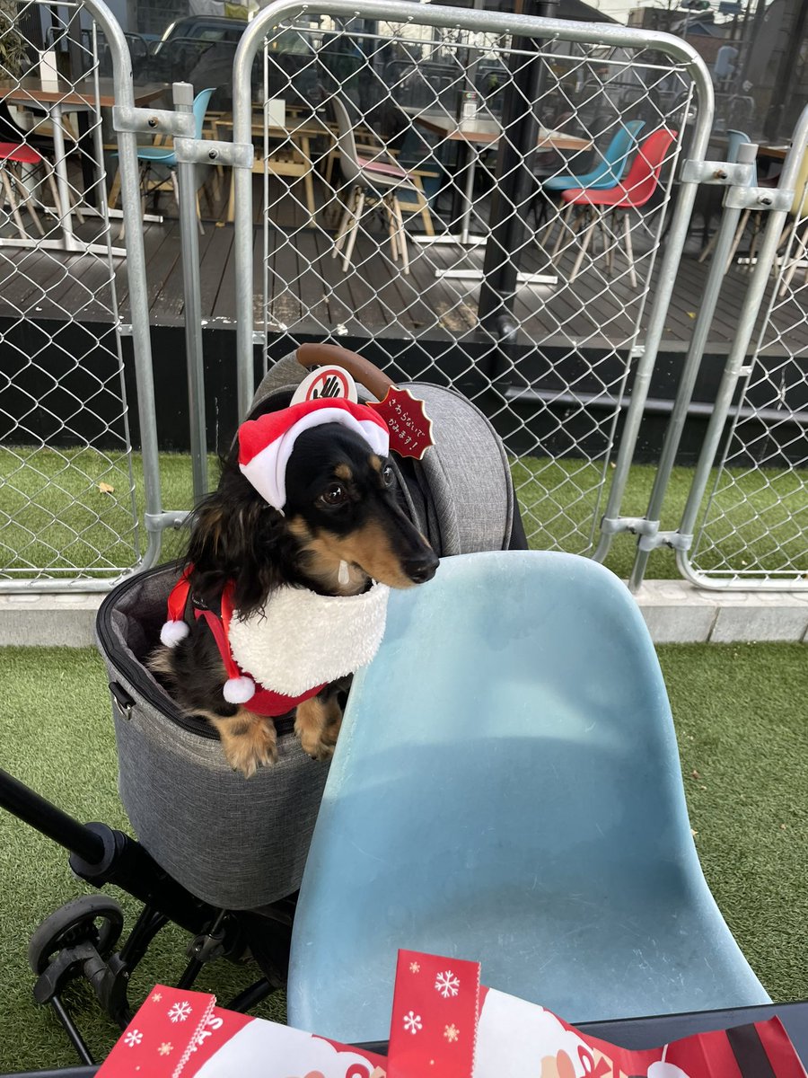 moenami0512's tweet photo. 昨日、僕たちクリスマスパーティーしたんだよ^ - ^年齢はバラバラだけどお姉ちゃんの専門学校で一緒に学んだ仲間なんだよ^ - ^10ヶ月ぶりの同窓会🎵 https://t.co/M1Mew3qs5W