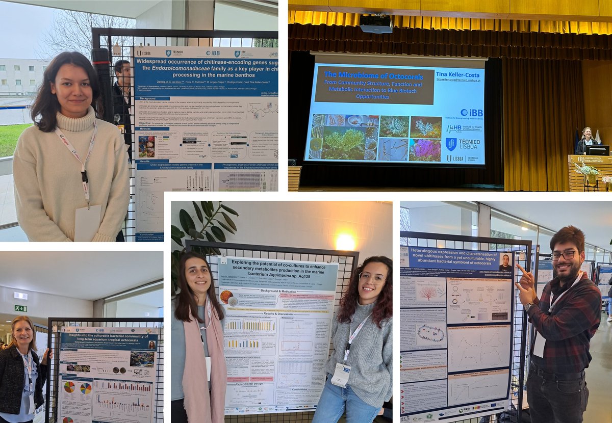 TinaKellerCosta's tweet photo. #Microbiotec23 - Day 1
Here we are @Microbiotec23 🔬 , in #Covilhã next to the beautiful #SerraDaEstrela mountains 🗻 🏕 , sharing and disseminating our research. There's more to come today & tomorrow so stay tuned and come and visit us.😊
@MicroEcoEvo_Lab https://t.co/GcTZlh5n2y