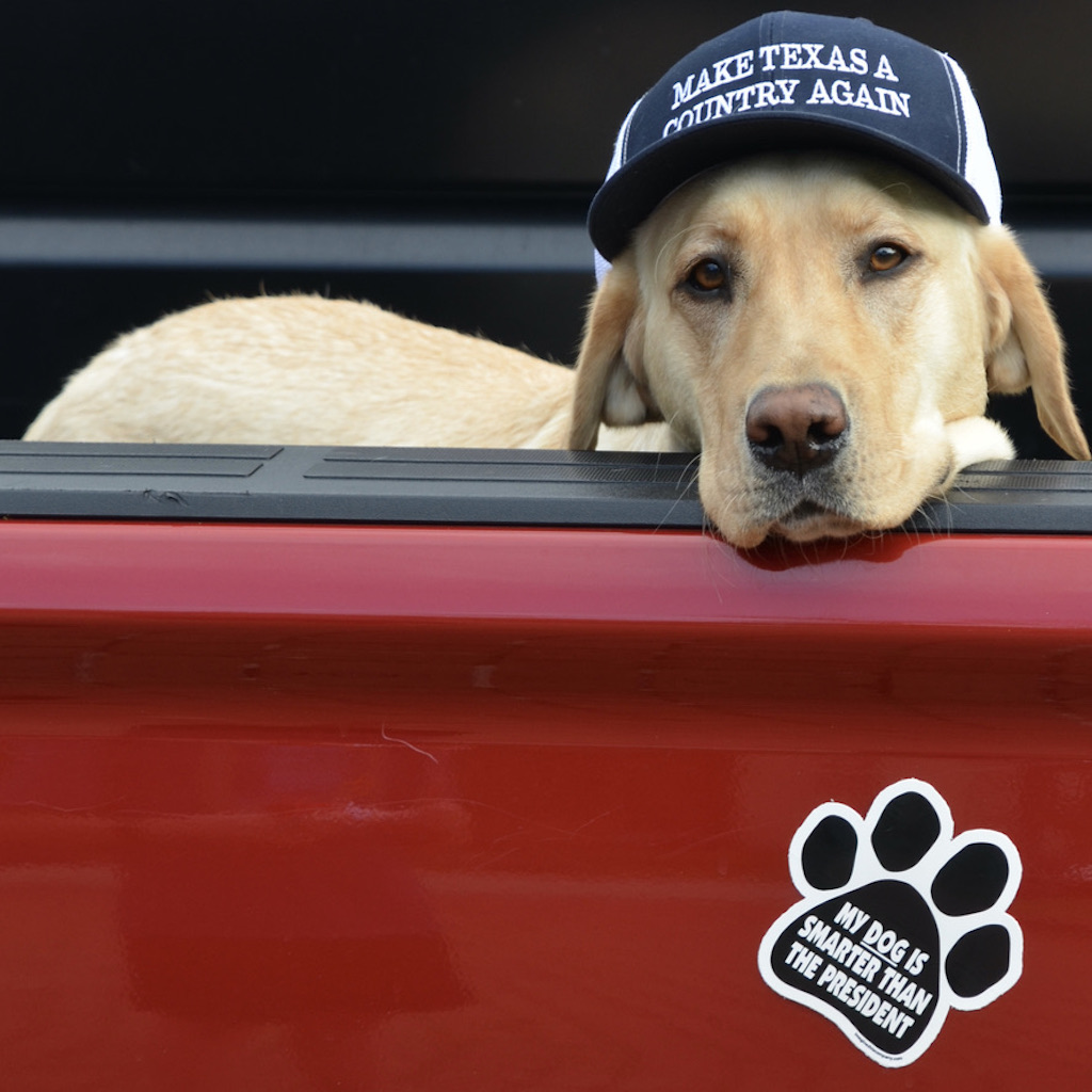 Texas_MATACA's tweet photo. TEXIT making headlines, "Should Texas leave the US?" Once a fringe idea, now so mainstream you can deck yourself out hats shirts &amp; Texas merch to celebrate the #LoneStarLifestyle and #MakeTexasACountryAgain @ https://t.co/AEs5MUixxi S.A. Express Article: https://t.co/ONRtNEwb13 https://t.co/NZir3DS5lU