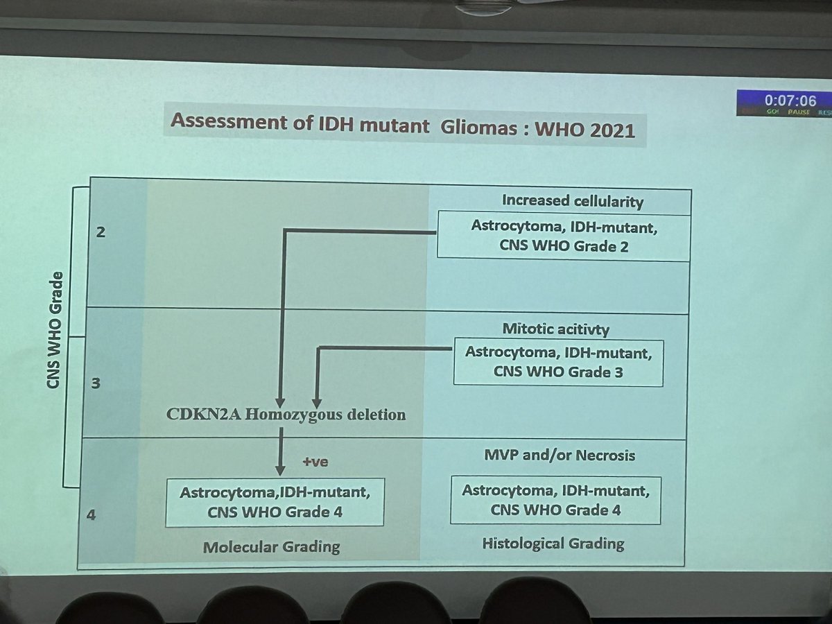 pathridle_susan's tweet photo. Neuropathology _ Glioma , Ependymoma #Apcon2023 #PathX
#Pathtwitter
#pathboards #pathology #neuropath https://t.co/0x2c31EGAn