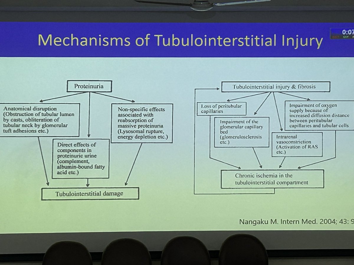 pathridle_susan's tweet image. Approach to renal biopsy #Apcon2023
#renalpath #RenalPath #Askrenal
#nephropath #Nephropath #pathboards #pathology #pathresidents #Nephpearls #Kidneypath