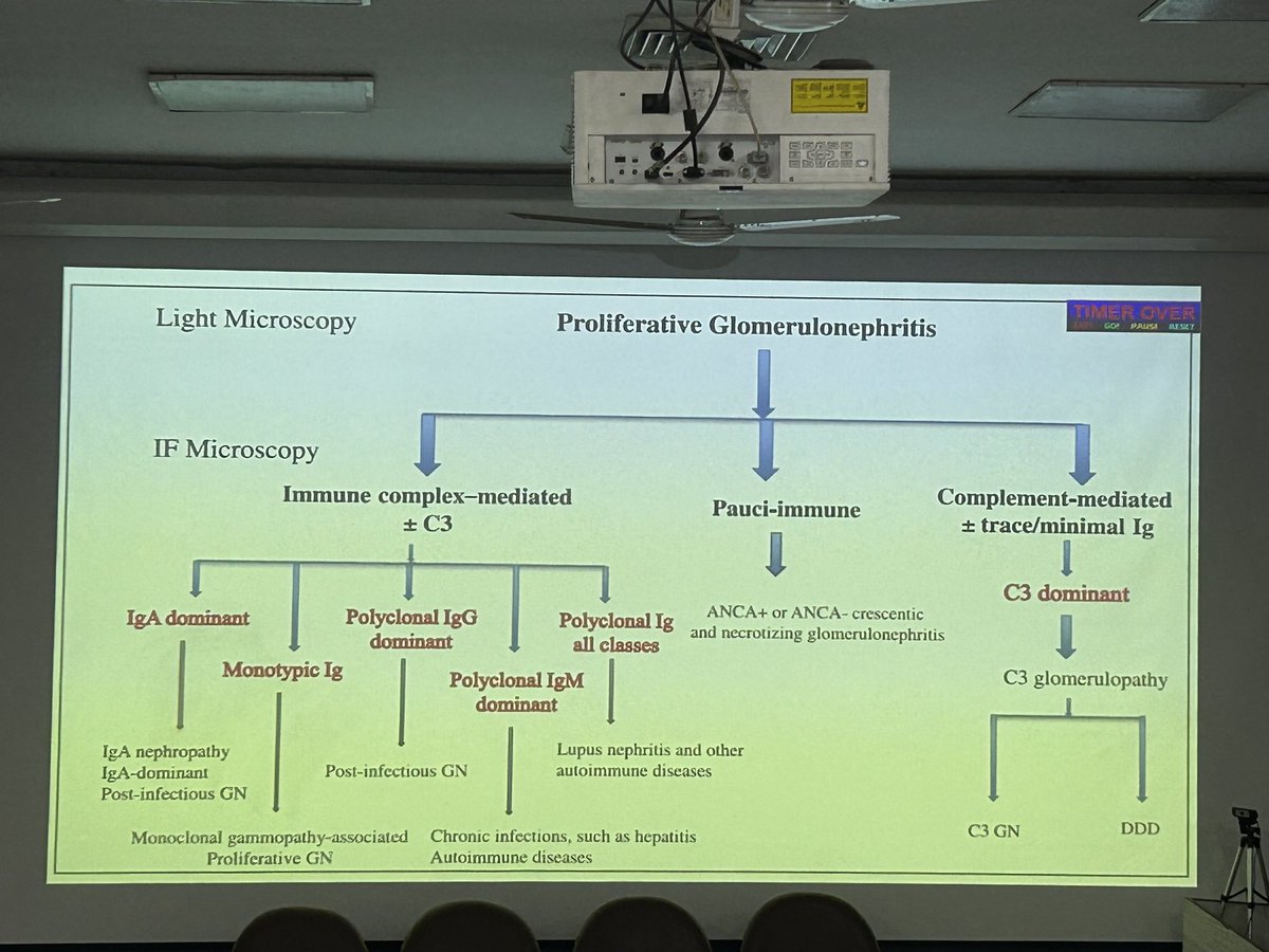 pathridle_susan's tweet image. Approach to renal biopsy #Apcon2023
#renalpath #RenalPath #Askrenal
#nephropath #Nephropath #pathboards #pathology #pathresidents #Nephpearls #Kidneypath