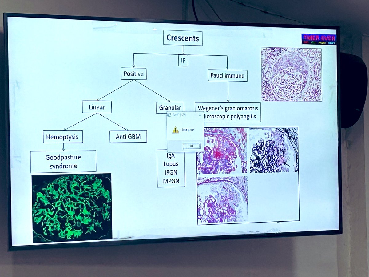 pathridle_susan's tweet image. Approach to renal biopsy #Apcon2023
#renalpath #RenalPath #Askrenal
#nephropath #Nephropath #pathboards #pathology #pathresidents #Nephpearls #Kidneypath