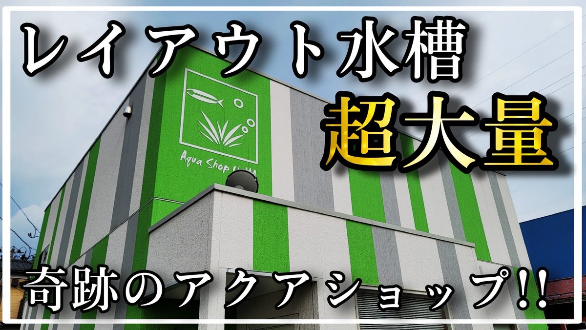 こんばんは‼️
今回はま・じ・で凄いです✨
新潟県新潟市にあるレイアウト水槽が超大量の奇跡のアクアショップの紹介動画となります😆🎶
絶対に見て欲しい⤴️⤴️そして気になったら絶対に行って行って欲しいです😊吹き抜けからの景色は圧巻です😆
是非見て下さい‼️
youtu.be/UJ4vCybTeLQ
