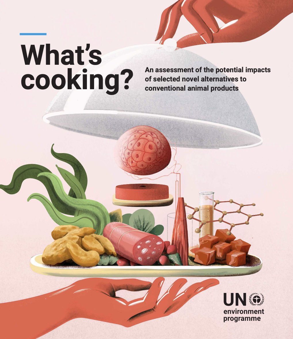 🚨 Groundbreaking <a href="/UNEP/">UN Environment Programme</a> report just released at #COP28 on evidence for how plant-based foods, cultivated meat and fermentation-derived products could lead to much smaller environmental footprint ⬇️ ⬇️ ⬇️ 

unep.org/resources/what…