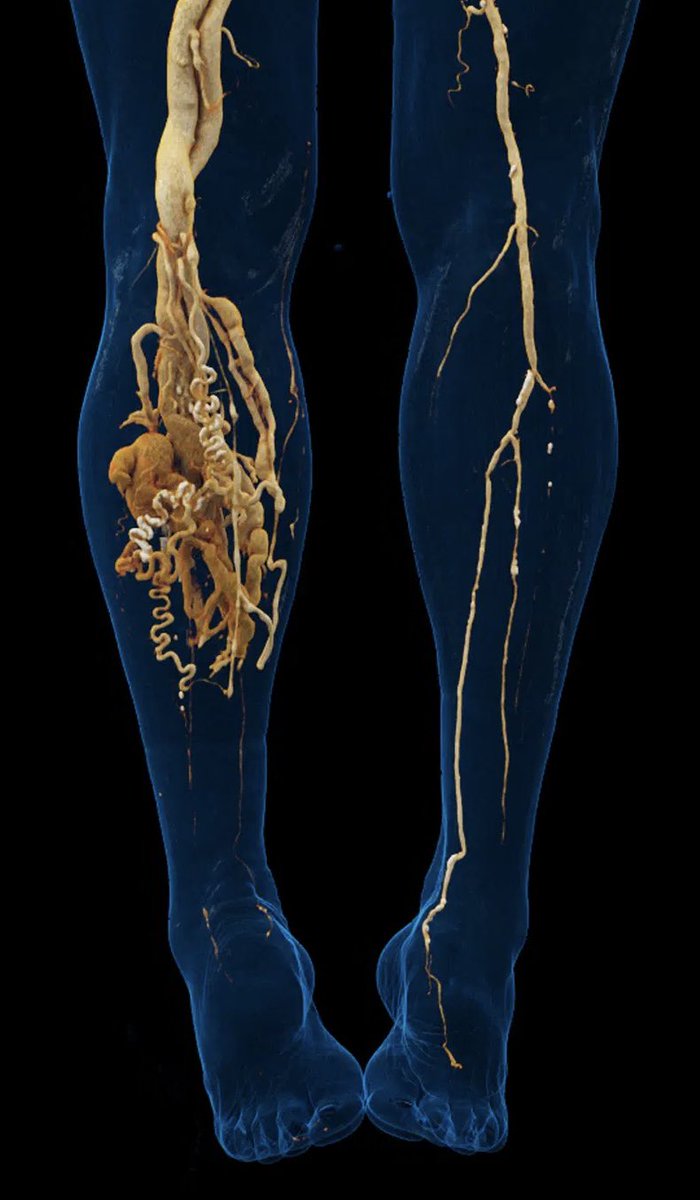 Abdullah Aljohani | د.عبدالله الجهني tweet media