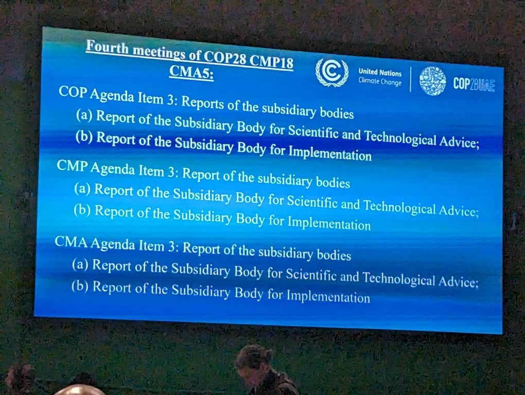 Amb_MNuhu's tweet photo. @lcbc_cblt participated in the plenary session of the fourth meetings of @COP28_UAE CMP18 CMA5 https://t.co/utGU4uF8ti