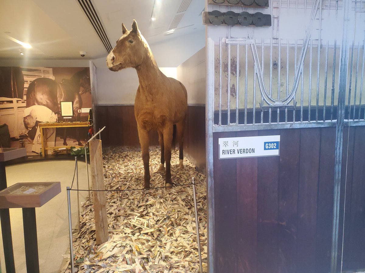 ハッピーバレー競馬場内の、香港競馬博物館に行って来ました！！