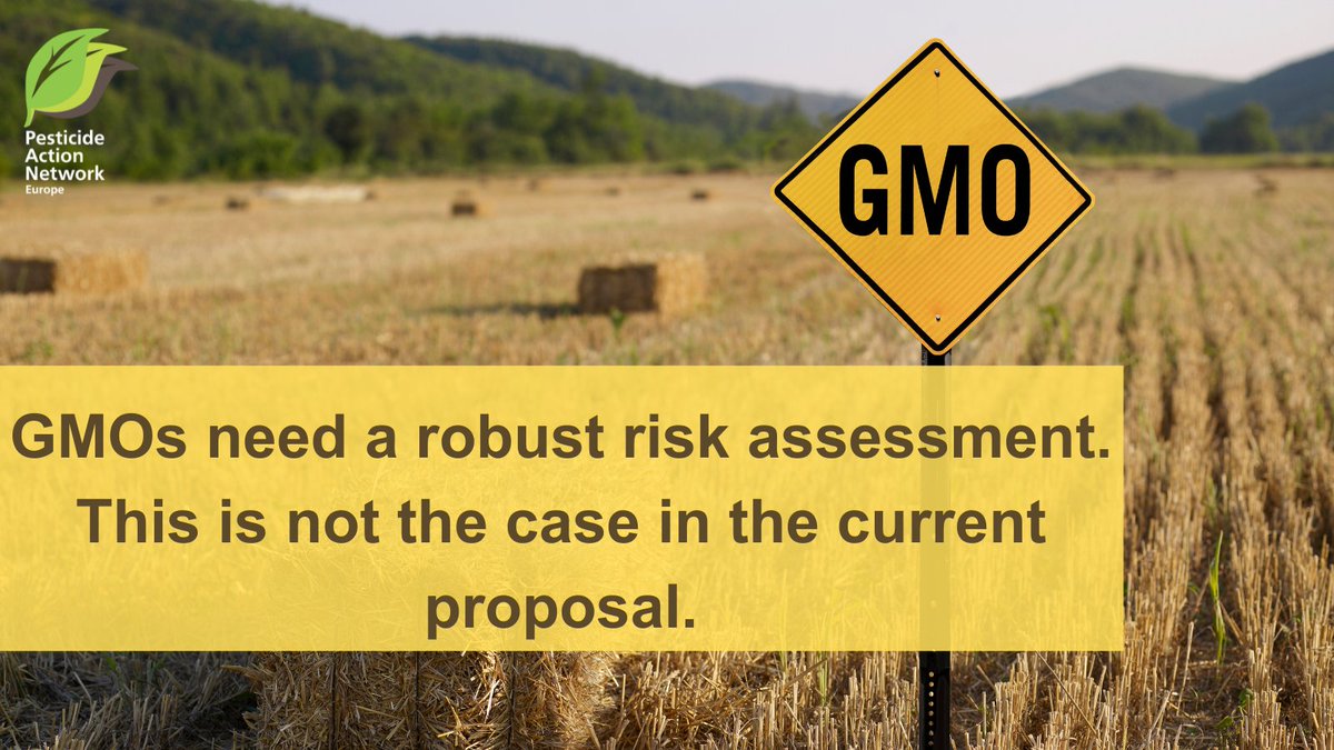 Next week Member States plan to vote to allow herbicide-resistant and #pesticide-producing crops, even without safety checks. This is very problematic and can lead to a strong rise in #glyphosate and #insecticides in the environment.
pan-europe.info/resources/lett…