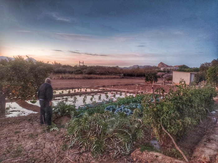 caermurcia's tweet photo. 📸 Foto finalista del VII concurso de #AgriculturaEcológica de la Región de #Murcia #FotogénicosporNaturaleza

Dale "Me gusta" ❤ si quieres que gane los 500 € y comparte esta imagen para que más personas la voten.

👉 Votaciones hasta el 15 de diciembre a las 12h.

¡Síguenos! https://t.co/GUk4Q1mhuY