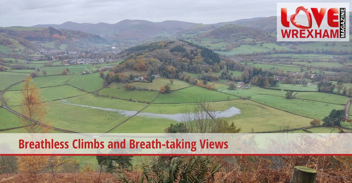Take a stroll through scenic lanes — gasping for breath is a given, but the views are stunning! 🤩🚶‍♀️🚶‍♂️ Read more at: love-wrexham.com/2023/12/16/pon… If you're interested in advertising with us, take a look at love-wrexham.com/advertising/ra… 💻📱 @NWalesSocial @northwalescom #lovewrexham