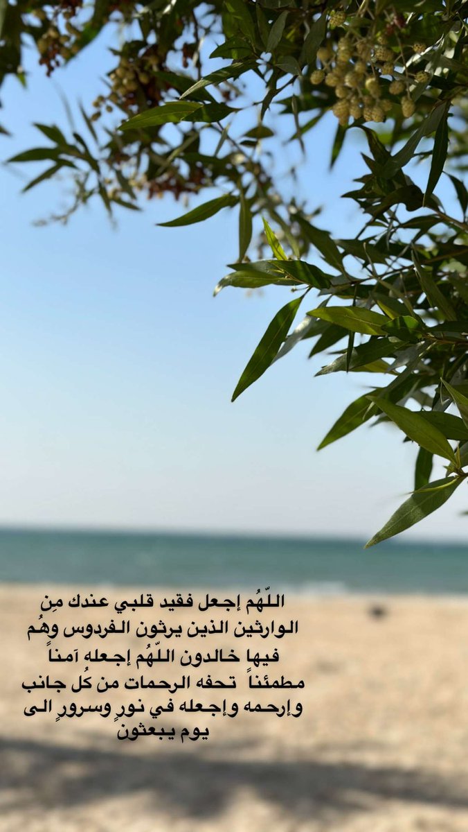 naseemfahaf's tweet photo. #يوم_Iلجمعه https://t.co/lB3nH09jEz