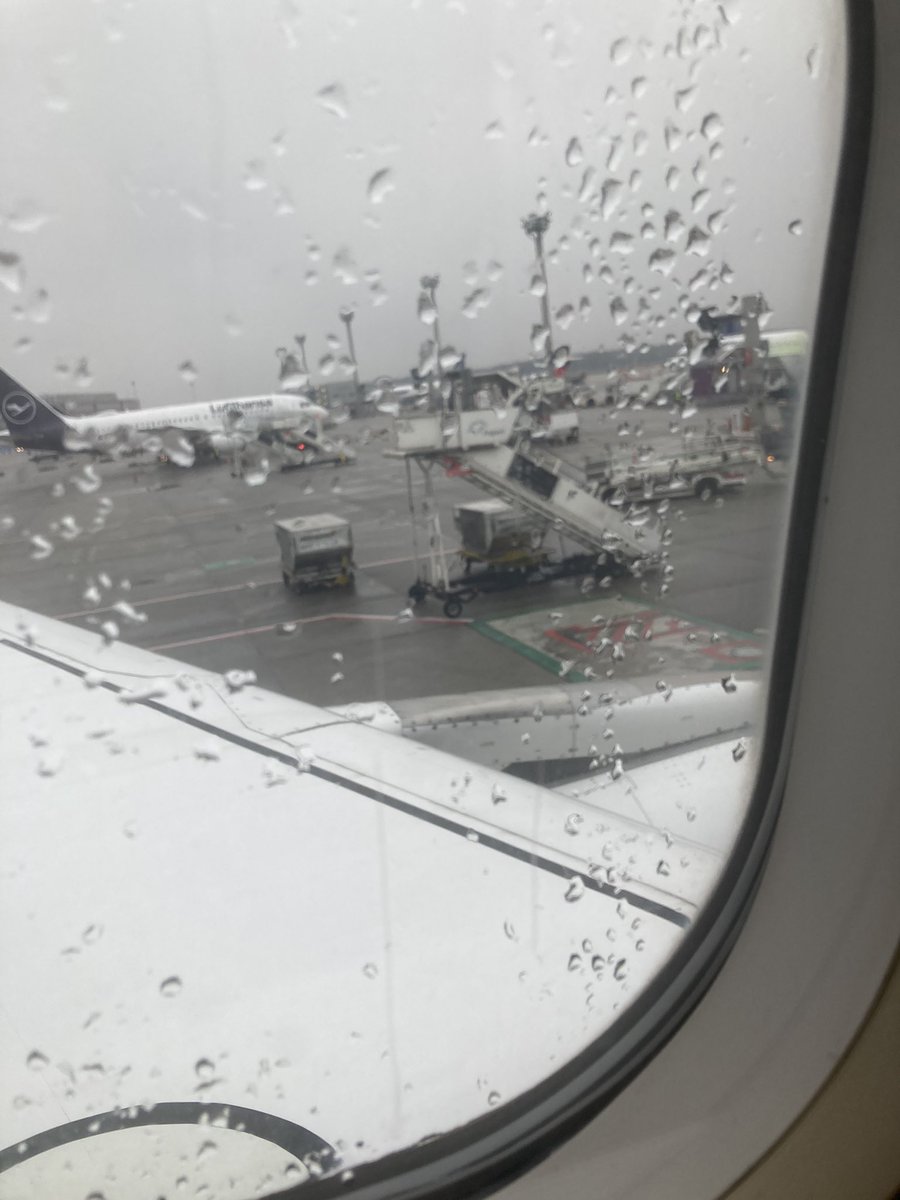 pazim96's tweet photo. Best conditions for #YCSBologna https://t.co/qphp985qEG