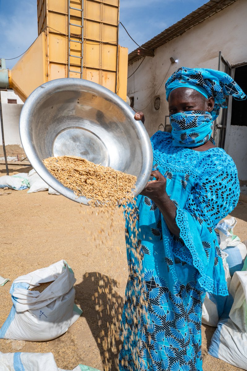 🚀✨ Day 2 at the #EWASME launch, we delve into governance frameworks and stakeholder engagement within the steering committee🌍💪 Stay tuned as we discuss the national and regional launches, with the contributions of all four countries to this 4-year project. #RiceValueChain