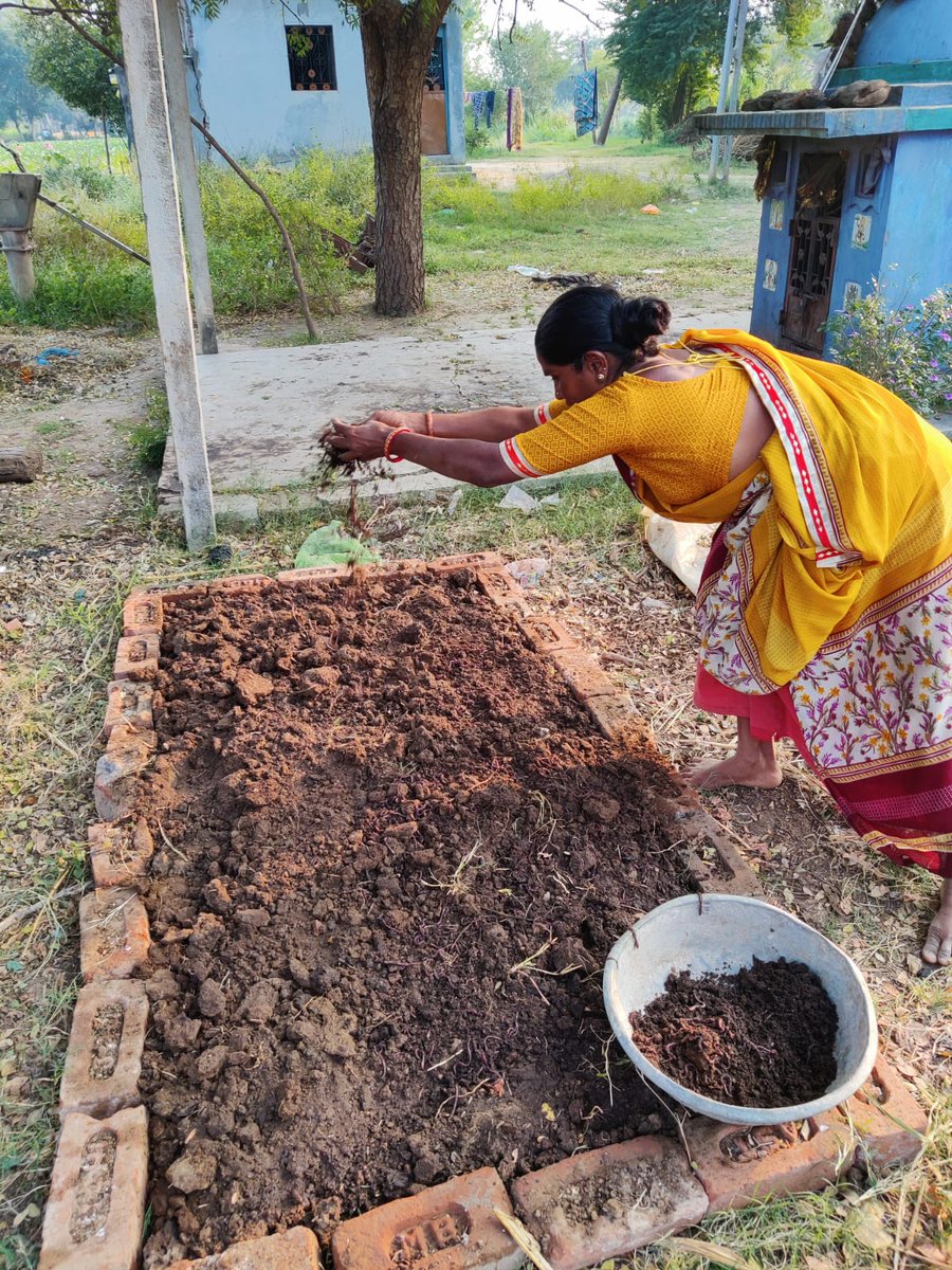 Sols ARC tweet media