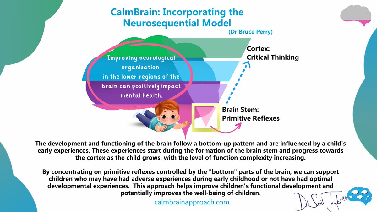 CalmBrain (@calmbraintweets) on Twitter photo By focusing on the primitive reflexes that are controlled by the "bottom" parts of the brain, we can provide support to children who may have had adverse experiences during their early childhood or have not had optimal developmental experiences. 
calmbrainapproach.com By focusing on the primitive reflexes that are controlled by the "bottom" parts of the brain, we can provide support to children who may have had adverse experiences during their early childhood or have not had optimal developmental experiences. 
calmbrainapproach.com