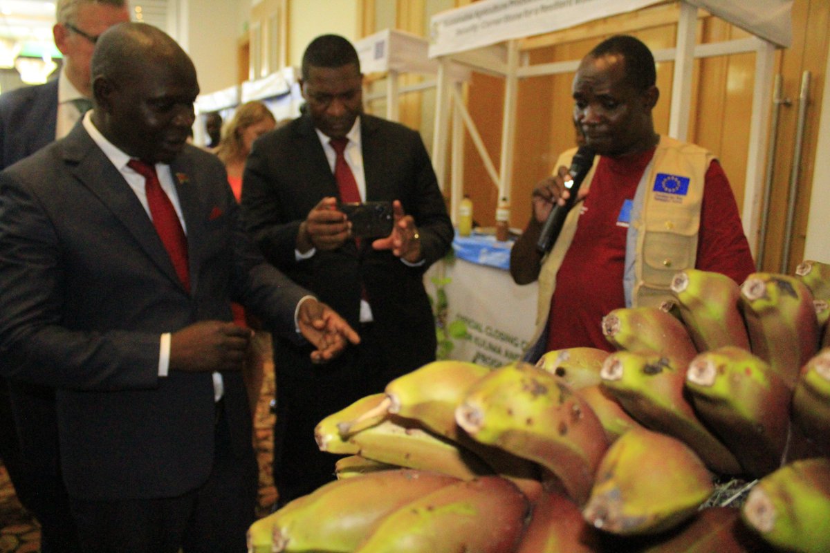 FAOMalawi's tweet photo. #KULIMA #Afikepo
"We are thankful to @EUinMalawi for supporting us to implement #KULIMA &amp; #Afikepo. This has been a lifeline for 🇲🇼because it has improved agricultural productivity &amp; ensured #food &amp; #nutritionsecurity at household level", Guest of Honour, Simplex Chithyola Banda. https://t.co/n2rPSeB1an