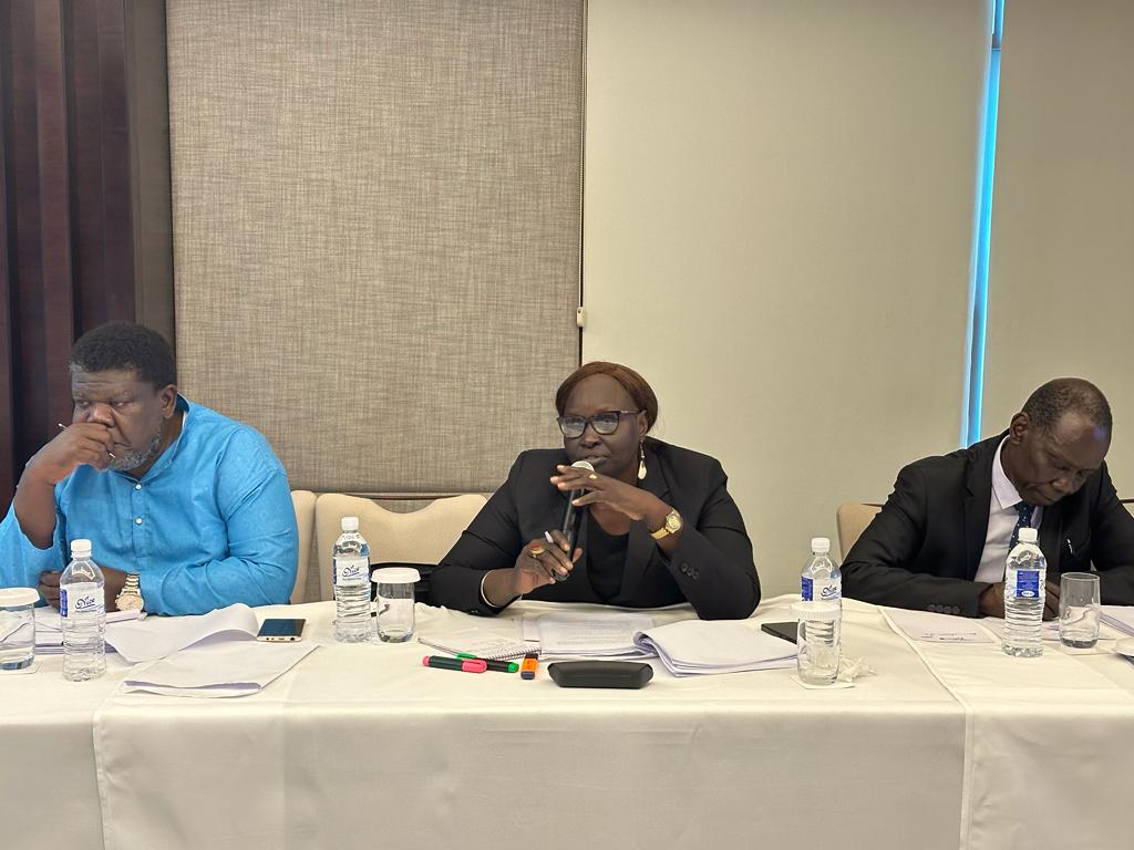undpsouthsudan's tweet photo. Following consultations with 865 individuals across 5 states, the Ad Hoc Judicial Reforms Committee is now synthesizing the views into a comprehensive report. The report will propose recommendations for establishing an independent judiciary and a robust judicial process in 🇸🇸. https://t.co/2w6KaqfxDe