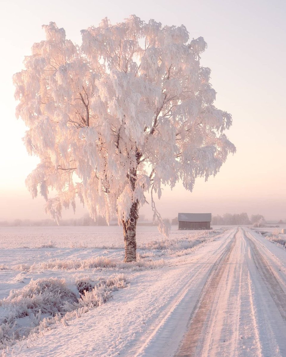Hello Everyone! 😊 Have a beautiful day. 💞🌸💕