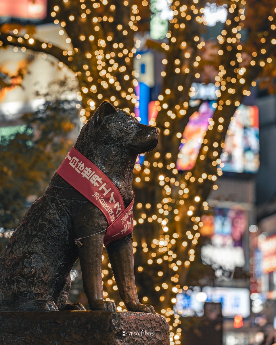 hico_films's tweet photo. Tokyo・Shibuya's Hachiko
東京・渋谷ハチ公
📸 Date: 2023.12.06
#東京 #渋谷 #東京観光 #ハチ公 #渋谷ハチ公 #イルミネーション #Shbuya #tokyotokyo #discovertokyo #visitjapanjp #東京カメラ部 #tokyocameraclub https://t.co/2V0Gk3JcVP