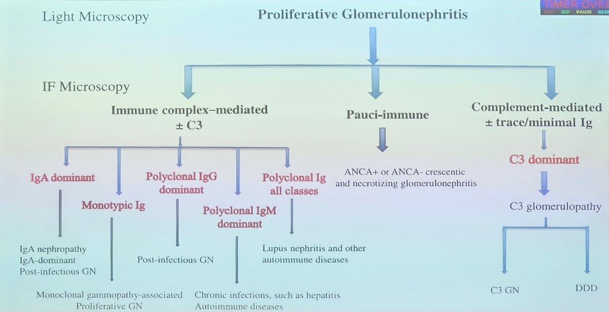 Bismaypath's tweet image. #Apcon2023 #Askrenal #pathology #PathX #nephropath #renalpath #Renalpath #Nephpearls #Kidneypath #pathboards