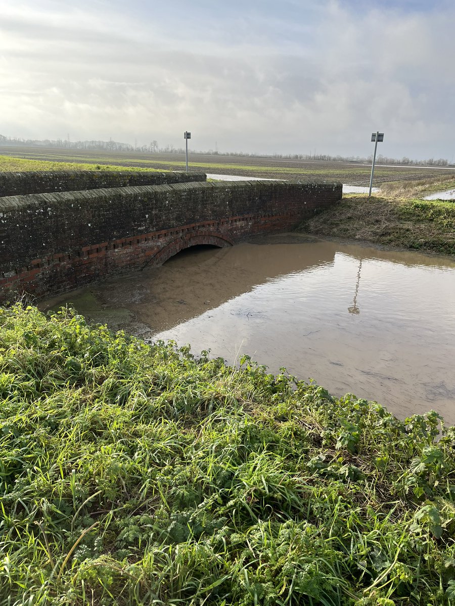 Drains are full, again.