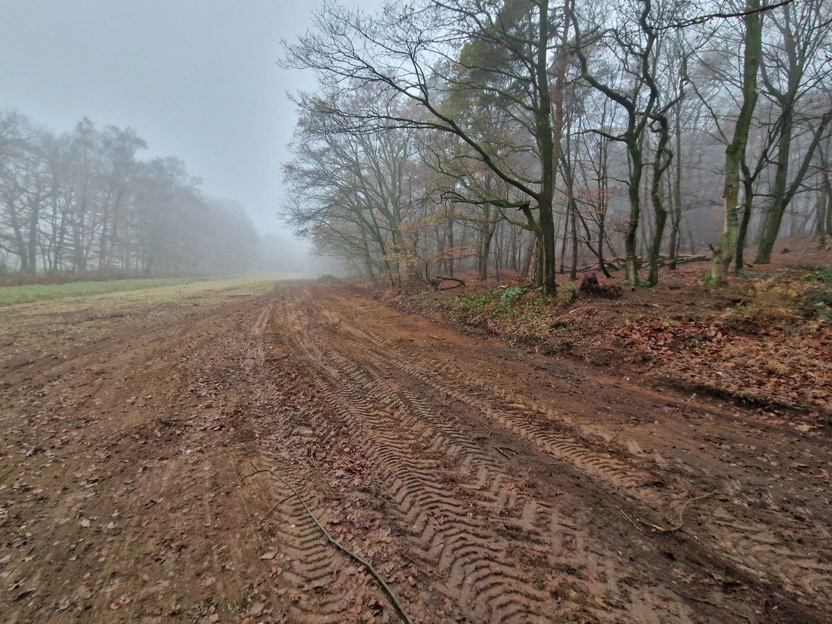 In 2 a 3 jaar voor behoud flora en fauna wordt deze akkerrand hersteld, passend in maatregelenplan van het landgoed. Mooi klusje met fijne lunch😊