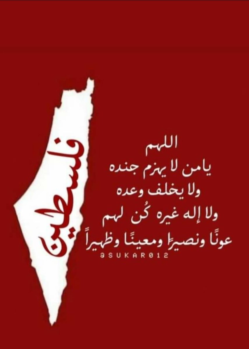 Zaid Mousa Abuzaid tweet media