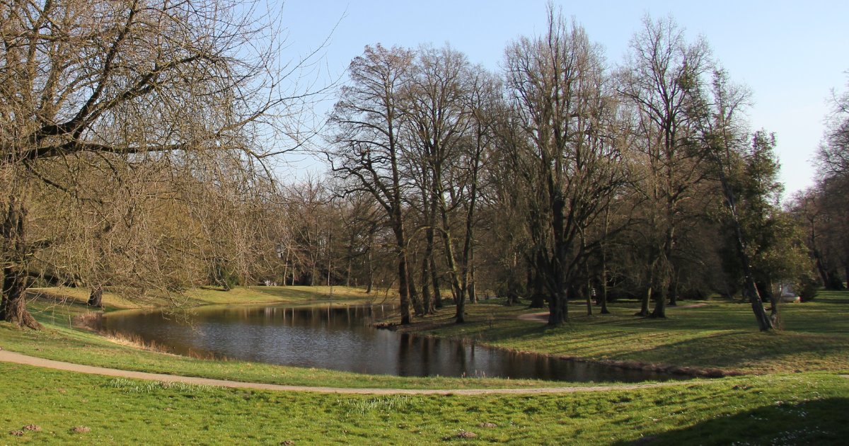 South East London Mind tweet media