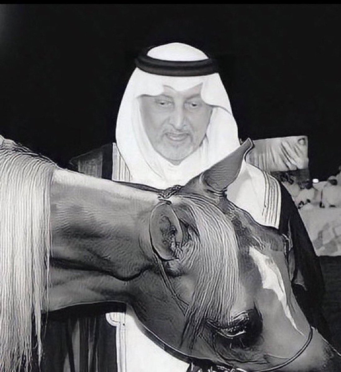 مـوطــن tweet media