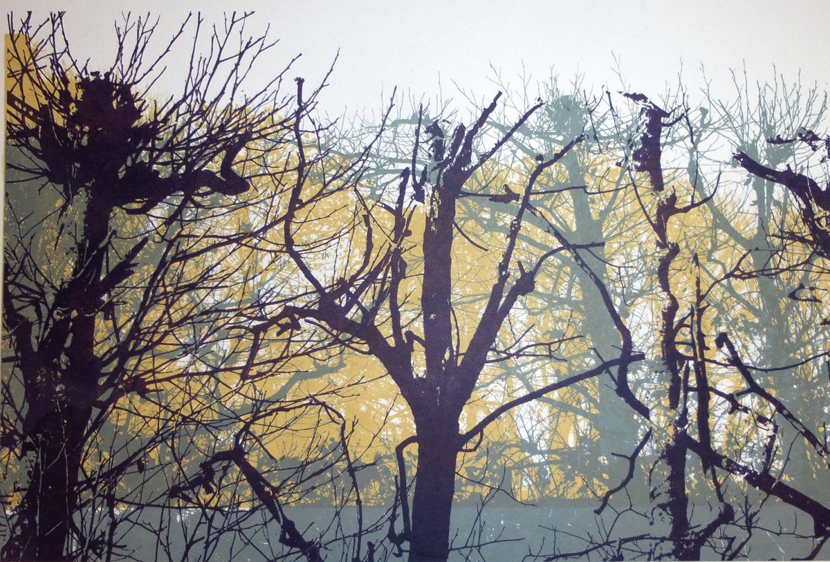 there is a glow in the woods today as the sun is shining and dispelling all the gloom - enjoy a reviving walk and feel the sun on your face
#trees #woodland #sunshine  #FridayMotivation #print #printmaking #woodlandwalk #artist #screenprint #print