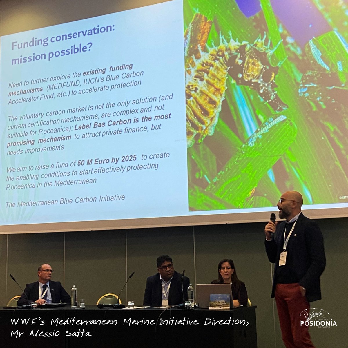 🌱️Yesterday was the launching of an innovative initiative at #COP23Med #BarcelonaConvention, with the goal of safeguarding #Posidonia in the Mediterranean! Special thank to the @WWF  Mediterranean, who presented the main findings about #bluecarbon financing mechanism.