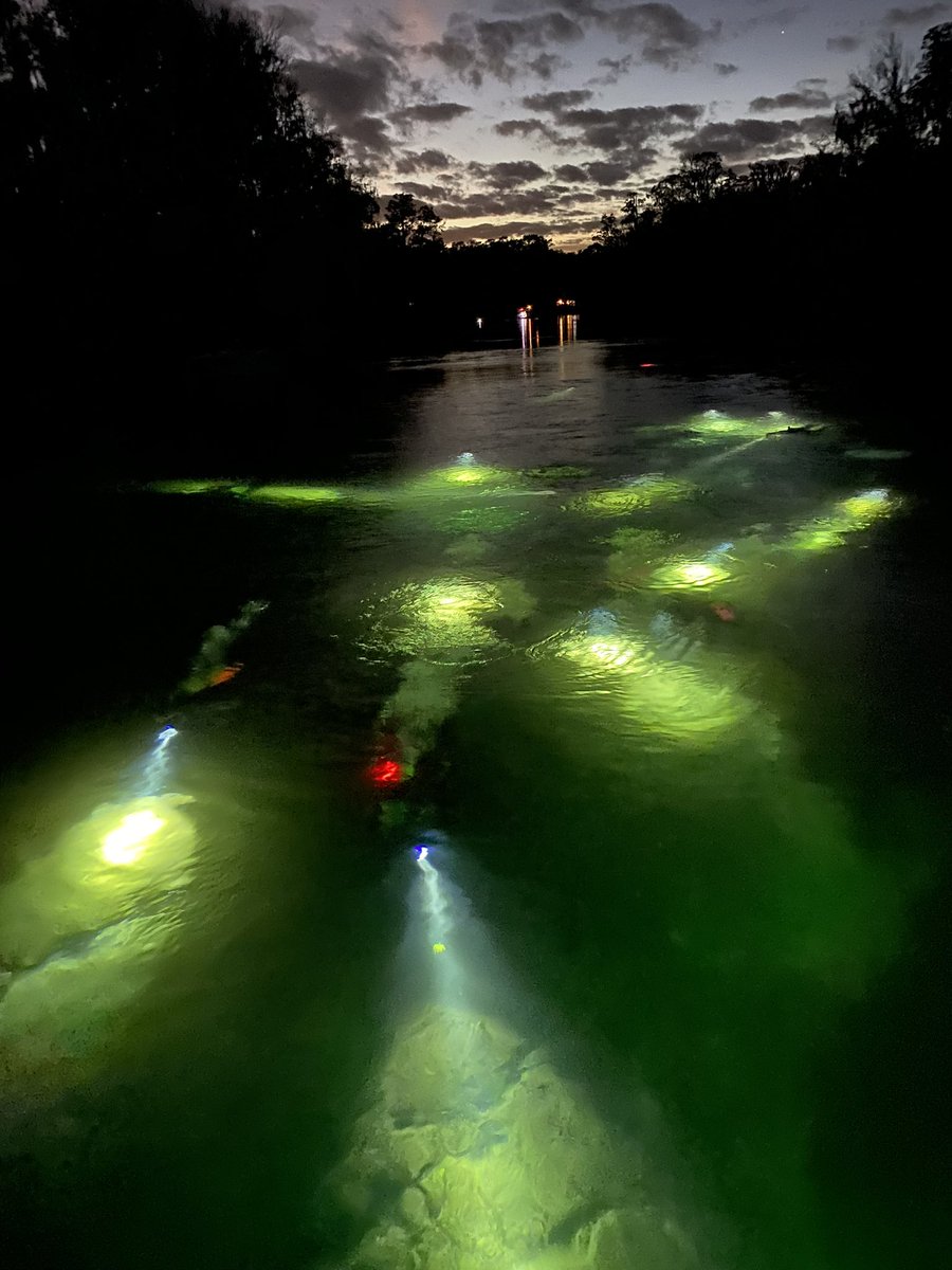 Night dive at Rainbow River.  #paradisedives #scuba #travel
