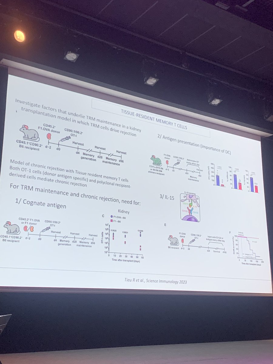 L’excellent quoi d’neuf Immuno de Delphine Kervella😍 <a href="/SFTJuniors/">SFT JUNIORS</a>