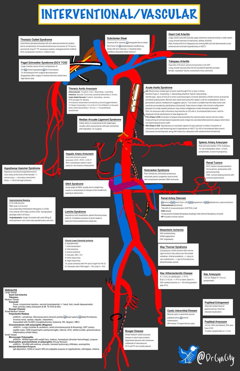 Awesome vascular anatomy and pathology from drcyncity